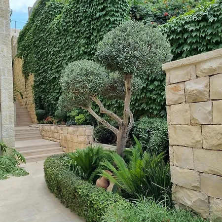 Cute Studio Near Yad Vashem Free Street Parking Jerusalem Exterior photo