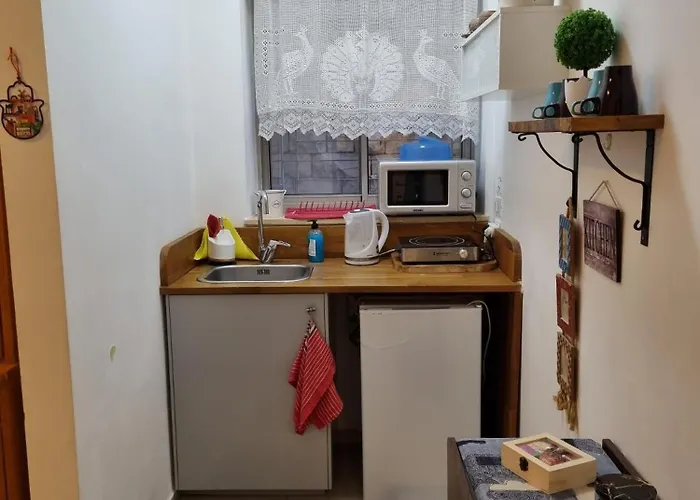 Cute Studio Near Yad Vashem Free Street Parking
